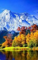 Без бренда «Осенний лес и вид на горы» в Ижевске