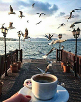 Без бренда «Кофе с видом на чаек» в Ижевске