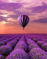 Без бренда «Фиолетовый воздушный шар над фиолетовым лавандовым полем» в Ижевске