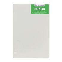 Без бренда «Коробка 80 шт.: Холст Две картинки на подрамнике 20X30» в Ижевске