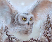 Без бренда «Полярная сова над лесом (20шт)» в Ижевске