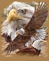 Без бренда «Коробка 20 шт: Орёл крупным планом» в Ижевске