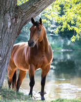 Без бренда «BOX20-2KMB-4594» в Ижевске