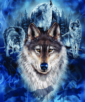 Без бренда «BOX40-2KXSB-0687» в Ижевске