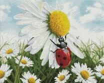 Ромашки и букашки