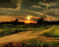 Без бренда «Проселочная дорога на закате» в Ижевске