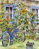 Велосипед у дома