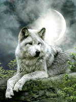 Без бренда «Коробка 25 шт. картин по номерам BOX25-GX21058» в Ижевске в интернет-магазине Без бренда «Коробка 25 шт. картин по номерам BOX25-GX21058» в Ижевске