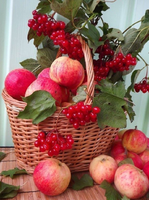 Без бренда «Коробка 25 шт. картин по номерам BOX25-GX5174» в Ижевске