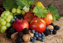 Без бренда «Фрукты, ягоды и орехи» в Ижевске