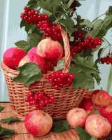 Без бренда «Плетёная корзина с калиной и яблоками» в Ижевске