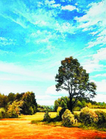 Без бренда «Осенний пейзаж с голубым небом» в Ижевске в интернет-магазине  Без бренда «Осенний пейзаж с голубым небом» в Ижевске