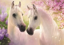 Пара белых лошадей среди цветов