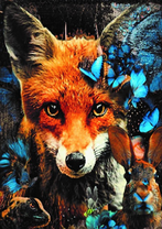 Без бренда «Лиса и синие бабочки» в Ижевске