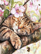 Без бренда «Волосатый котик спит на ветви яблони» в Ижевске в интернет-магазине  Без бренда «Волосатый котик спит на ветви яблони» в Ижевске