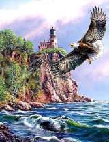 Белоголовый орлан над морем у маяка